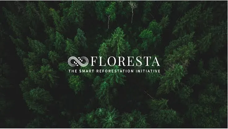 Regenerating forest and young teak plantation, Kampong Speu